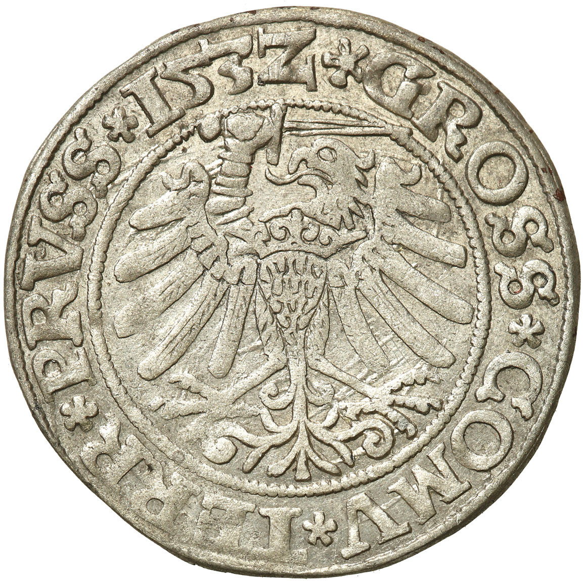 Zygmunt I Stary. Grosz 1532, Toruń - ŁADNY